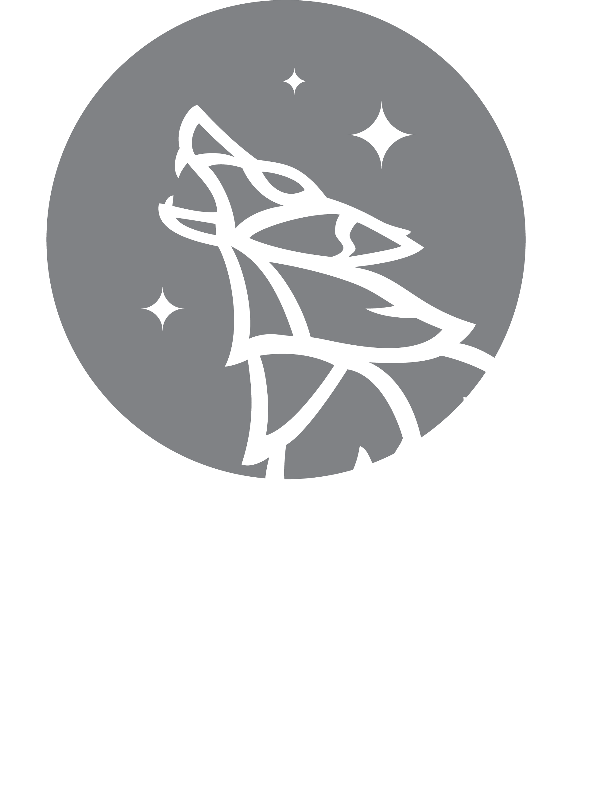 Bigfork Vet Clinic Logo